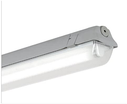 REGLETTE 1X36 NU MUTLUSAN