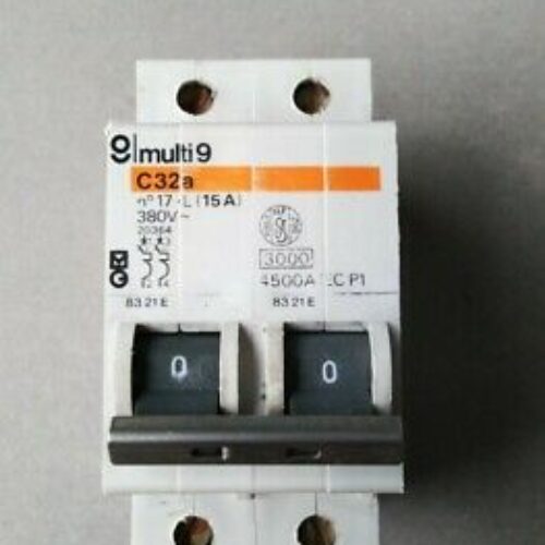 DISJONCTEUR 2P 15A MERLIN GERIN
