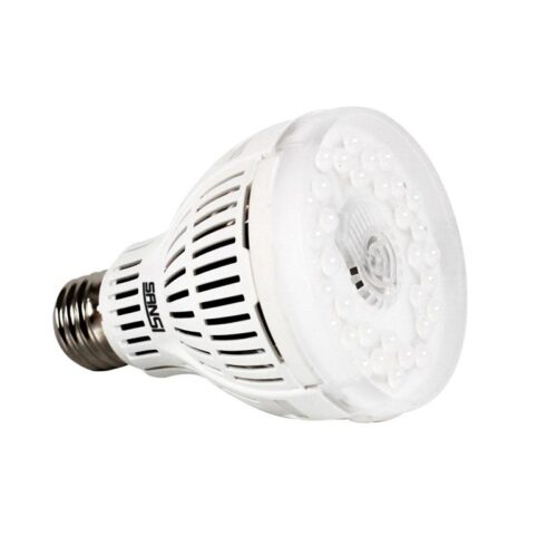 AMPOULE LED E27 24WATTS SANJIN