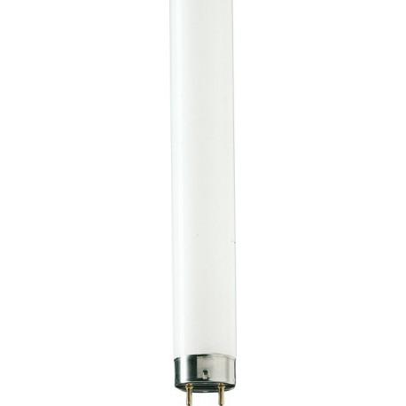 TUBE NEON PHILIPS 18W 0.60