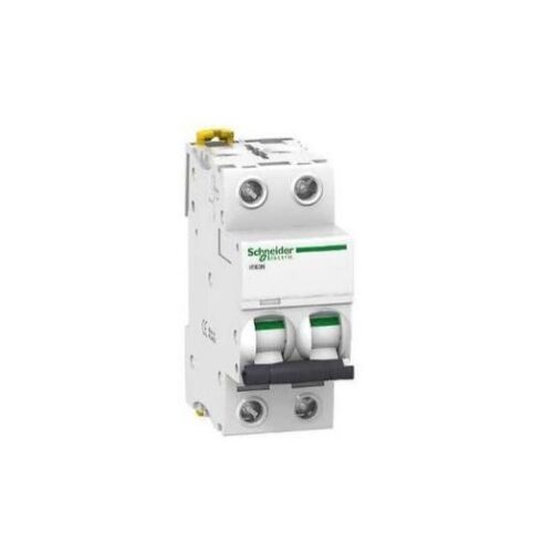 DISJONCTEUR 2P 20A MERLIN GERIN