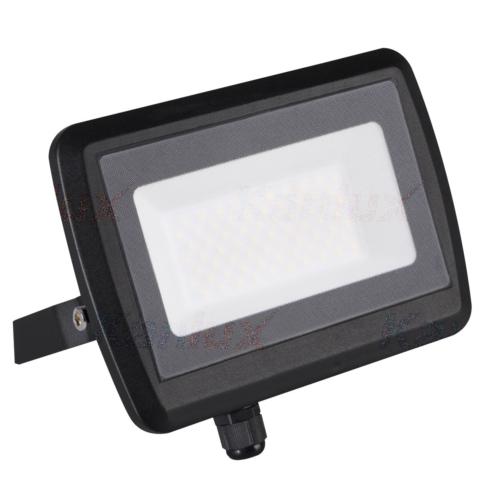 AMPOULE LED POUR PROJECTEUR 50W 1QLT